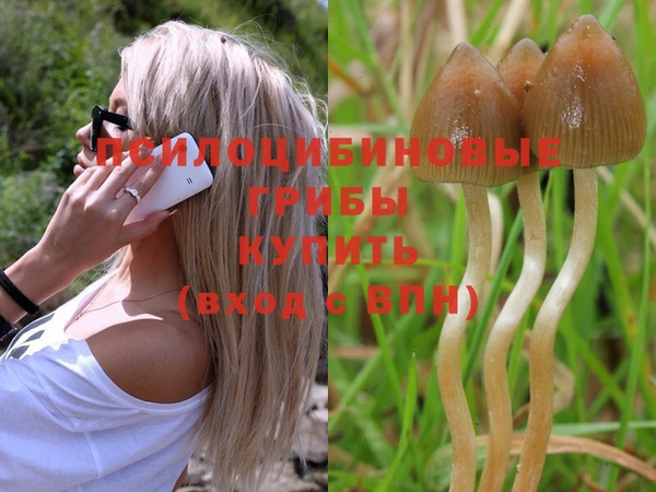мдпв Балабаново