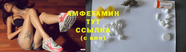шишки Баксан