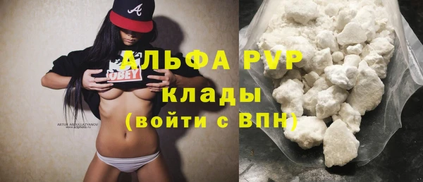 шишки Баксан
